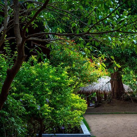 Hotel Arugambay Coco Bay Arugam Bay Exterior foto