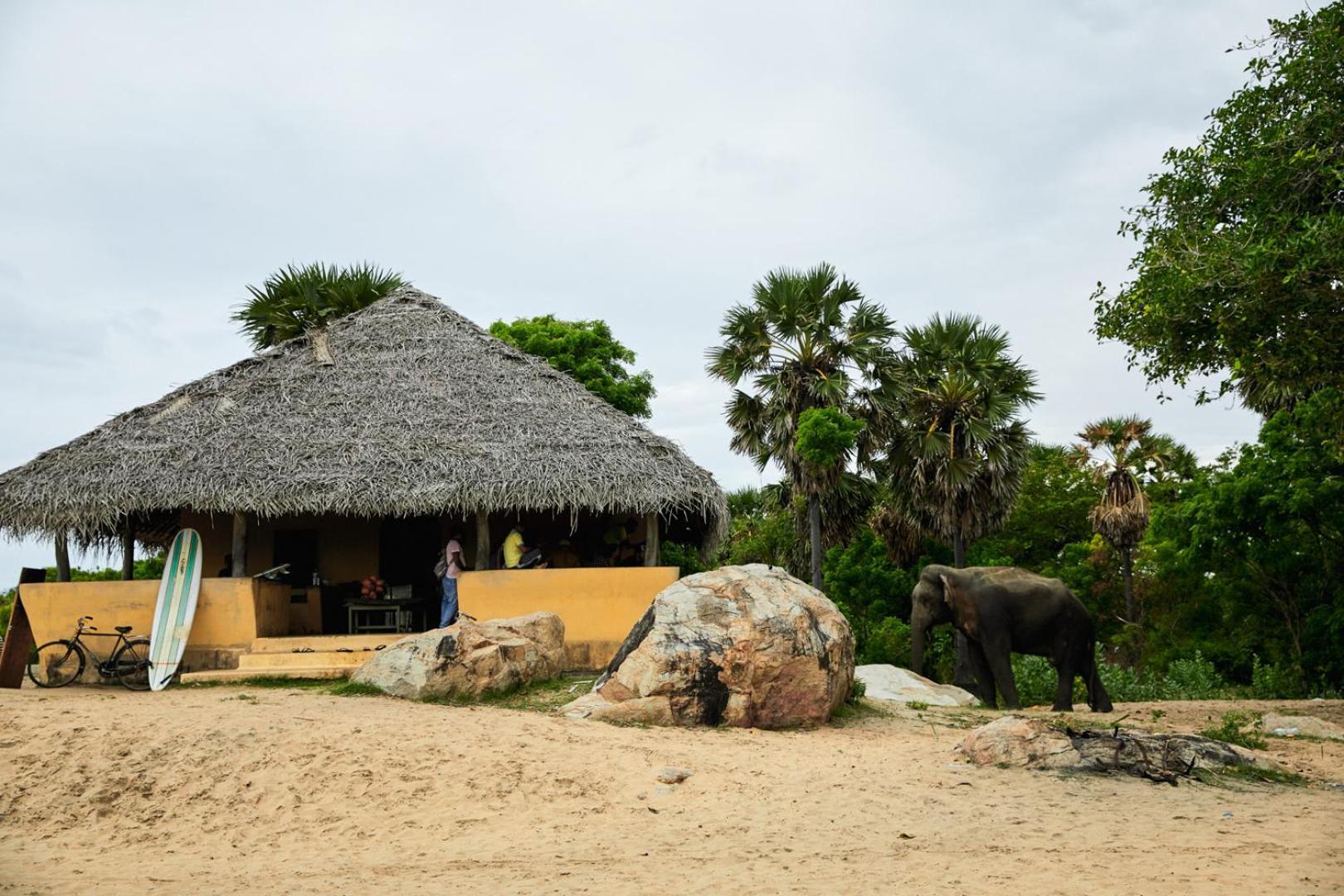 Hotel Arugambay Coco Bay Arugam Bay Exterior foto